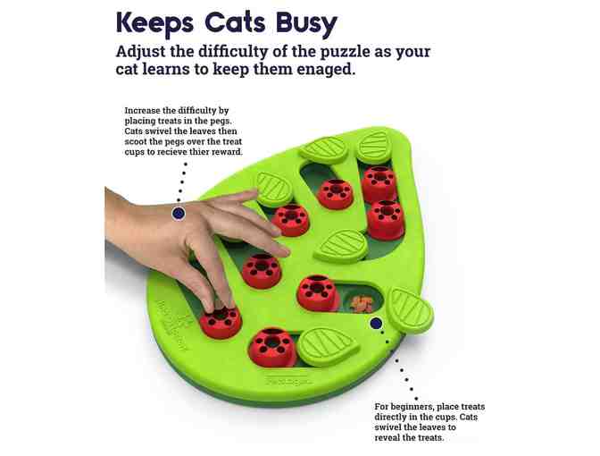 Interactive Cat Treat Puzzle