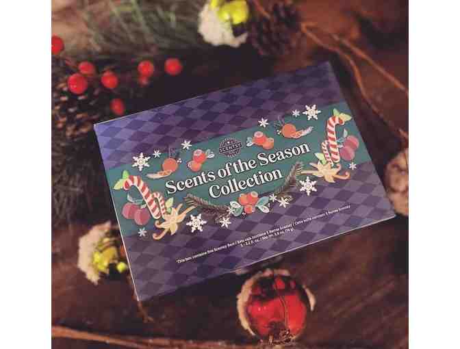 Scents of the Season Wax Bar Gift Box Ltd Ed