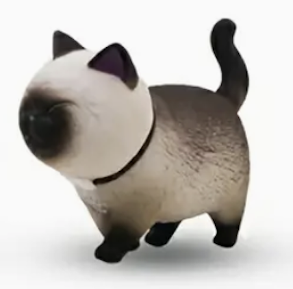 Screenshot 2024-03-21siamese.png