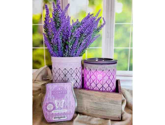 Scentsy Lavender Fields and Provence Lavender - Photo 1