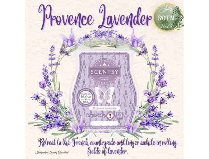 Scentsy Lavender Fields and Provence Lavender