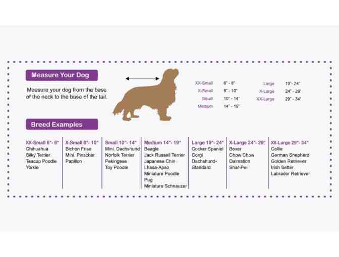 Striped Dog Sweater - Large