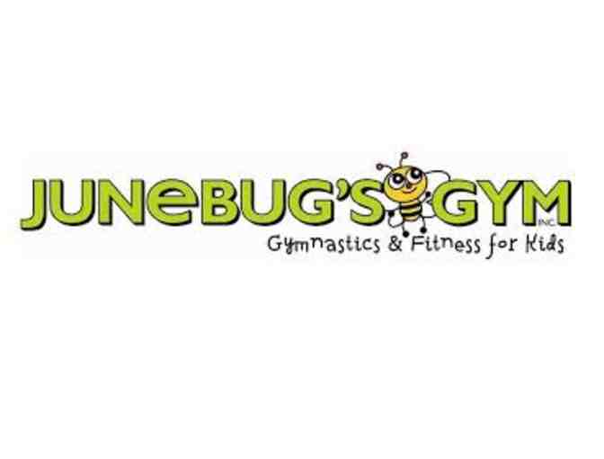 June Bug's Gym One Month Gymnastics Classes