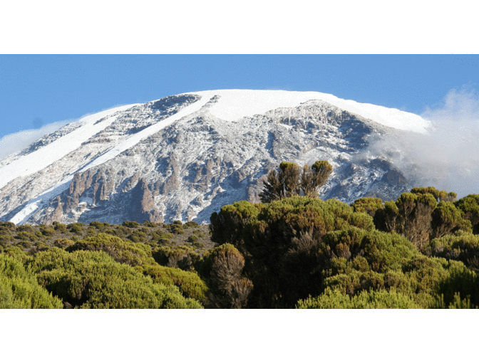 Kili Climb! Mt Kilimanjaro, Tanzania