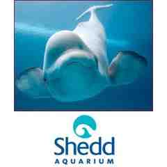 Shedd Aquarium