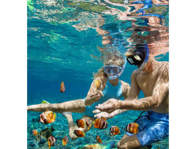 2 Nights at THE COVE ELEUTHERA - LUXURY BEACHFRONT RESORT IN THE BAHAMAS - Photo 3