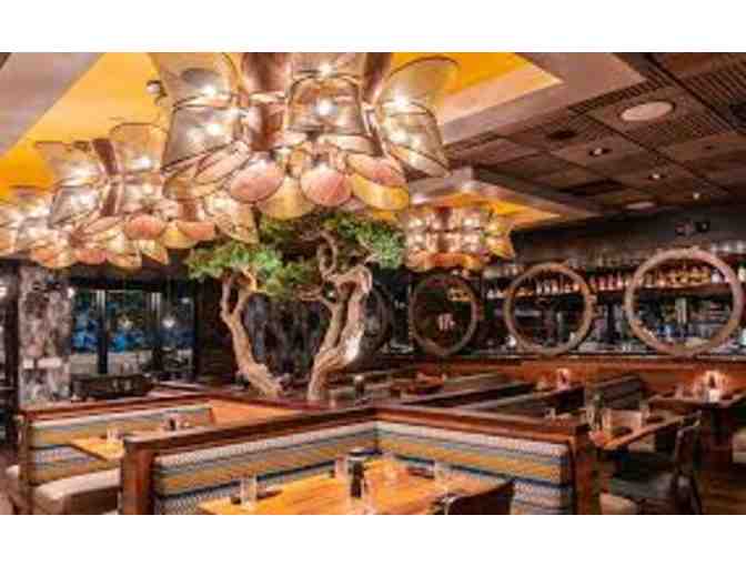 Dinner for Two at Yolo Restaurant