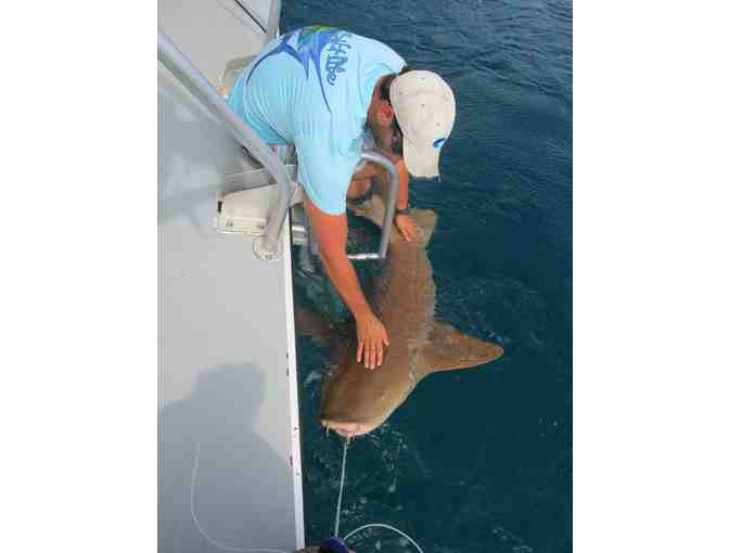 NSU Shark Tagging Full Day Trip for 30 People