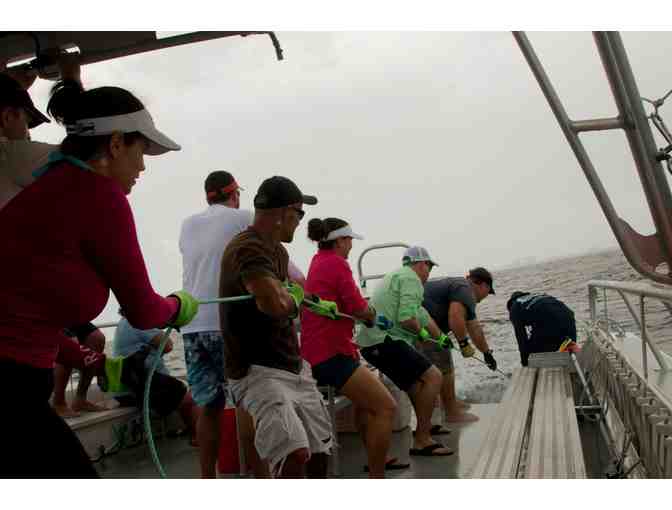 NSU Shark Tagging Full Day Trip for 30 People