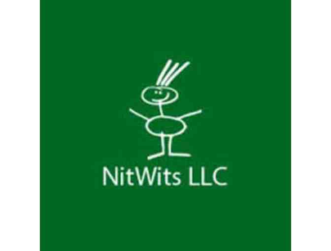 NitWits: NitWits Welcome to a Lice-Free World Complete Lice Treatment Kit