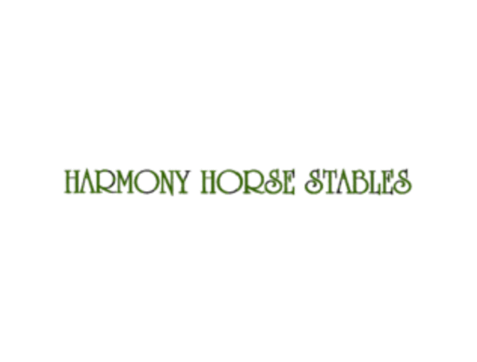 Harmony Horse Stables: Private 1/2 Hour Horseback Riding Lesson!