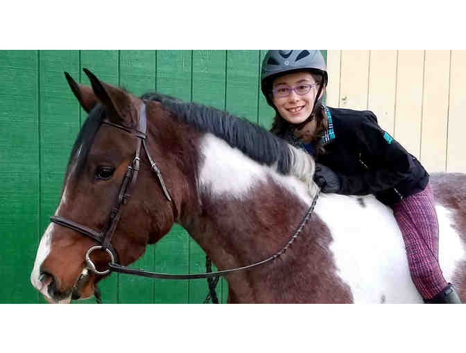 Harmony Horse Stables: Private 1/2 Hour Horseback Riding Lesson!