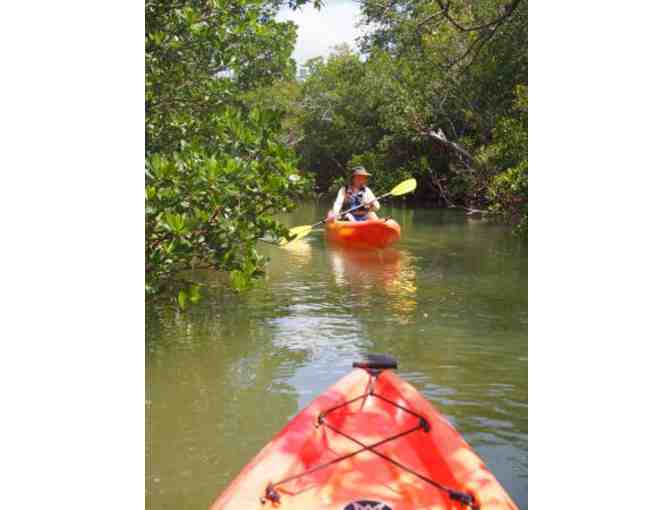 $200 credit to the highly rated 'Everglades Area Tour' -