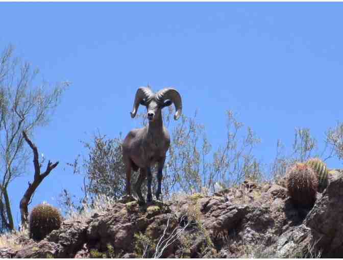 Stellar Adventures-Good for one basic shooting experience Sonoran Desert, AZ