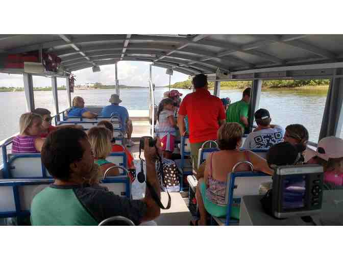 4 manatee dolphin tour passes Ponce Inlet/Daytona Beach + $100 Restaurant.com