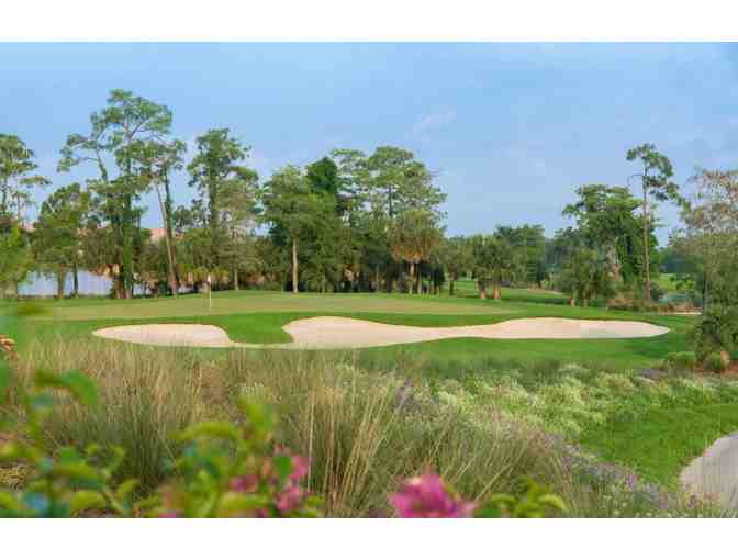 Enjoy Golf for 4 @ Hammock Bay Naples,Florida + $100 Food Credit