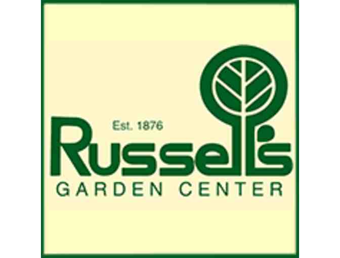 $100 Gift Card for Russell's Garden Center in Wayland
