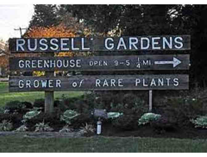 $100 Gift Card for Russell's Garden Center in Wayland