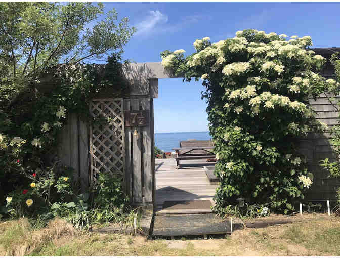 Love Nest on the Bay