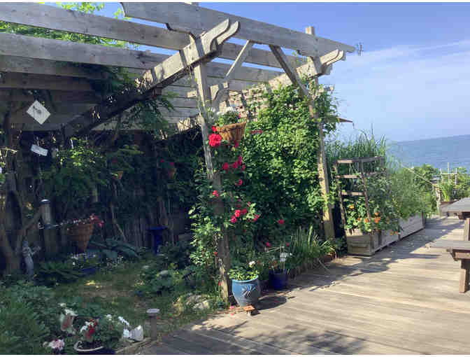 Love Nest on the Bay