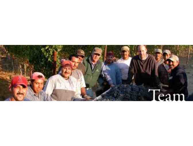 Four Young Winemakers and Their Wines--The Apprentices