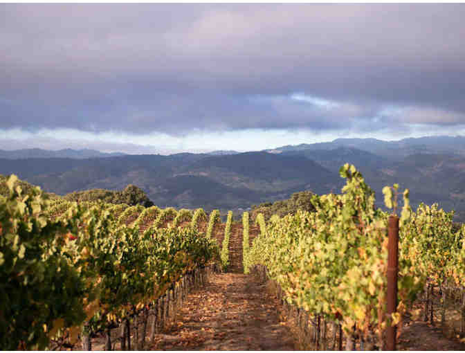 Raymond -- A Napa Valley Icon and Landmark