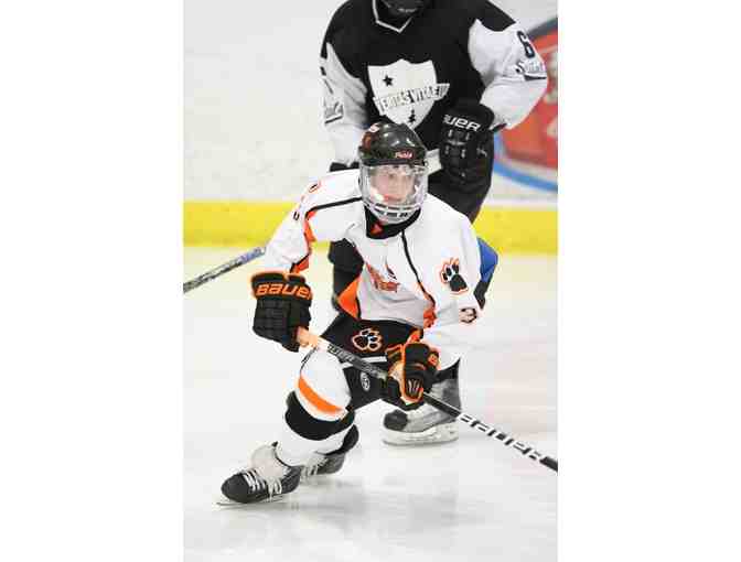 Skating admissions to Biddeford Ice Arena