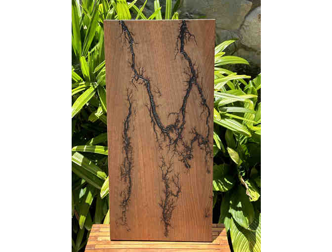 Beautiful Fumed Eucalyptus Art Panel - Photo 2