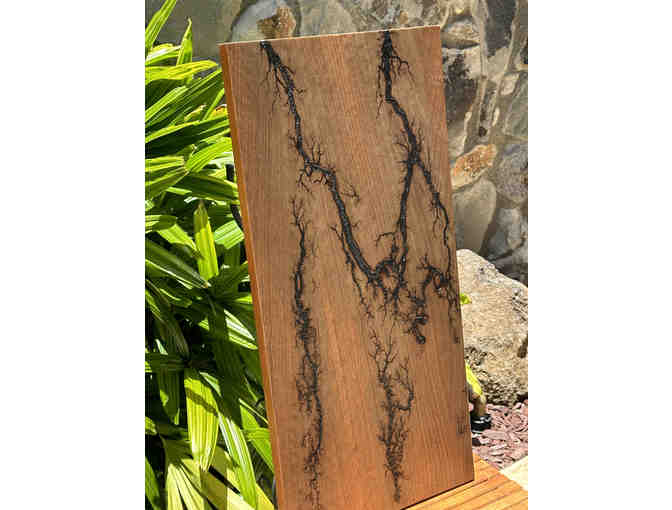 Beautiful Fumed Eucalyptus Art Panel - Photo 8