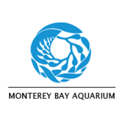 Monterey Bay Aquarium