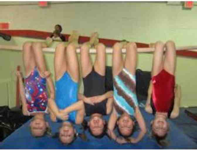 NYC ELITE GYMNASTICS - (1) Week of Half-Day Summer Camp