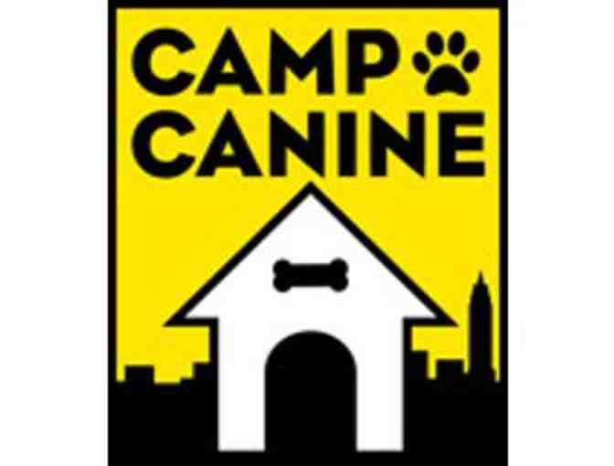 Doggie Spa Day & Camp Play at CAMP CANINE