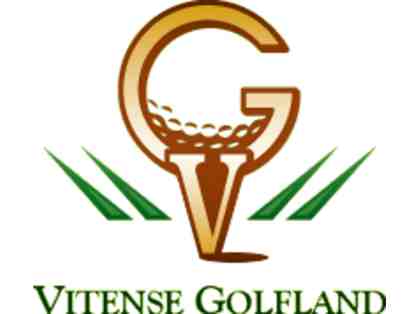Vitense Golfland Miniature Golf Passes for Four (4)