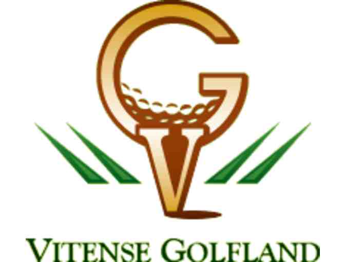 Vitense Golfland Miniature Golf Passes for Four (4) - Photo 1