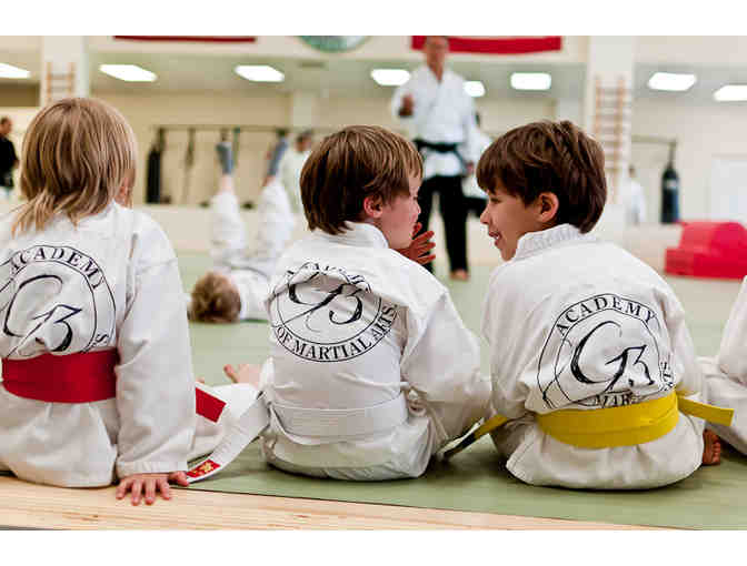 G3 Academy of Martial Arts & Fitness - 1-month membership, uniform & t-shirt - $200