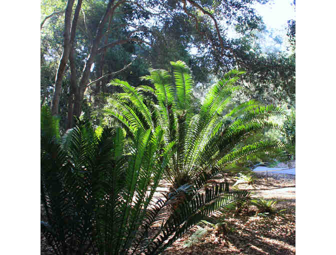 Descanso Gardens with Waverly Elementary School Co-Leads, Bevan and Emily