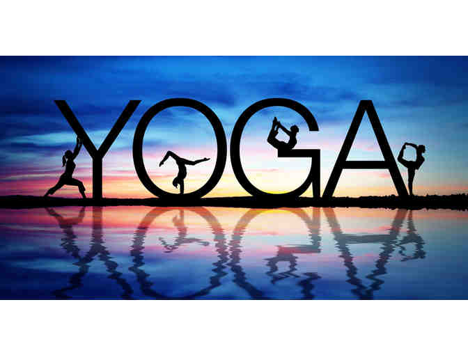 Experience: Yoga and Meditation Group Workshop with Waverly Parent, SC Nameth