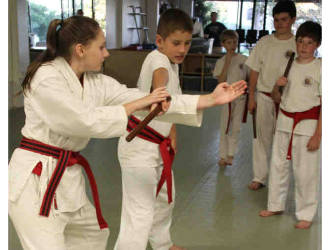 G3 Academy of Martial Arts & Fitness - 1-month membership, uniform & t-shirt - $200