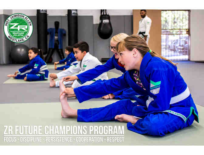 Brazilian Jiu Jitsu - 5 private lessons