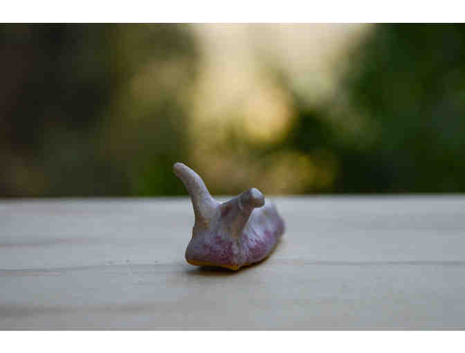 Pink Clay Slug