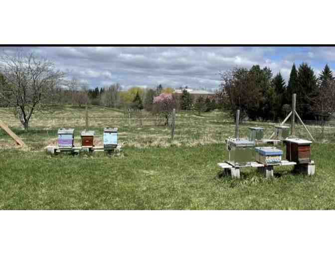 Honey, Kennebec Beekeepers Association - Two 1-lb jars #1