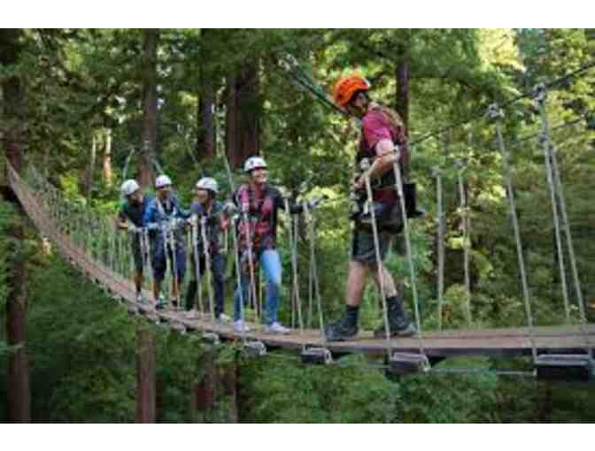 Mount Herman Adventures - The Sequoia Ariel Adventure for 4 People