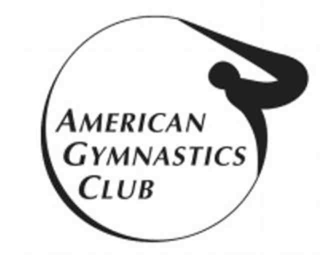 American Gymnastics Club - Preschool Classes