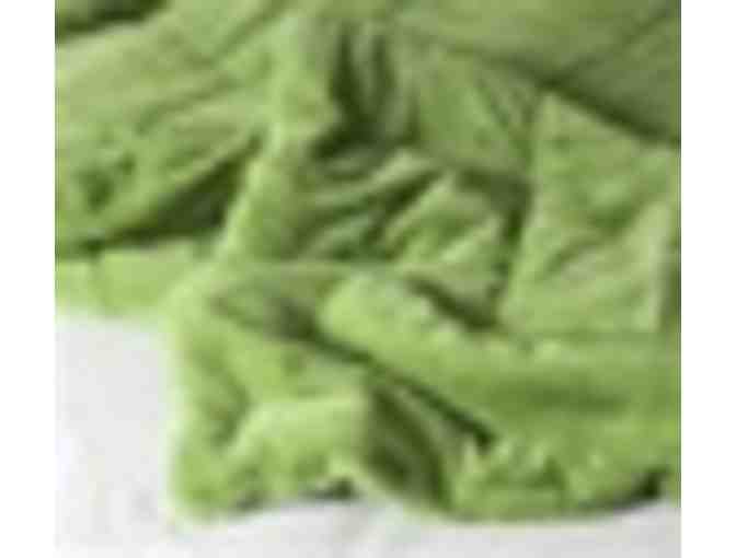 Dorm Co College Plush Comforter - Avocado Green  - Twin XL