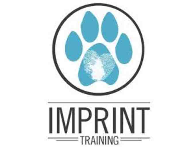 Imprint Dog Training - 5 Sessions w/Expert Dog Trainer - Photo 1