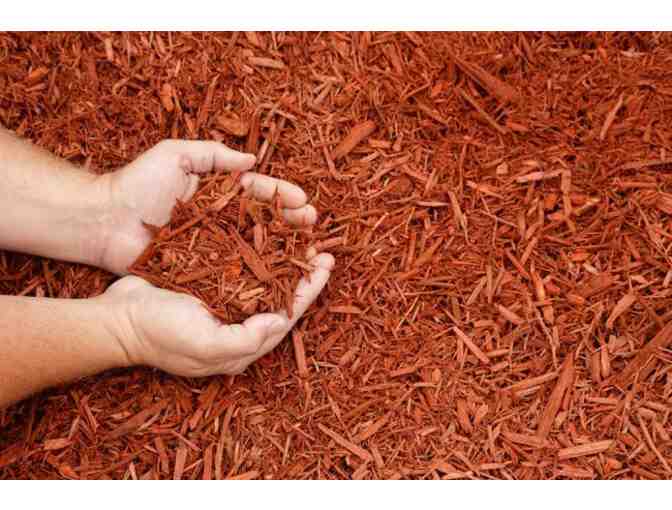 5 yards of Colored Mulch Delivered!