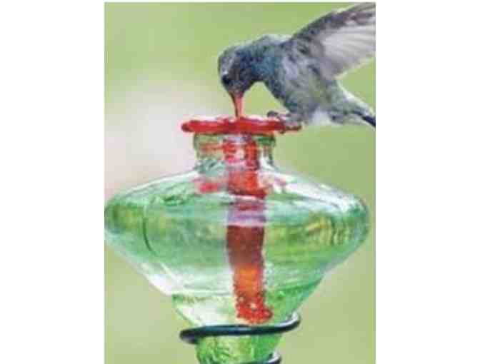 Mini-Blossom Hummingbird Hanging Feeder