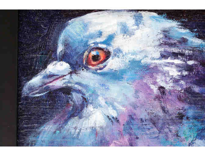 Pigeon Radiance - oil painting by Meghan Taylor