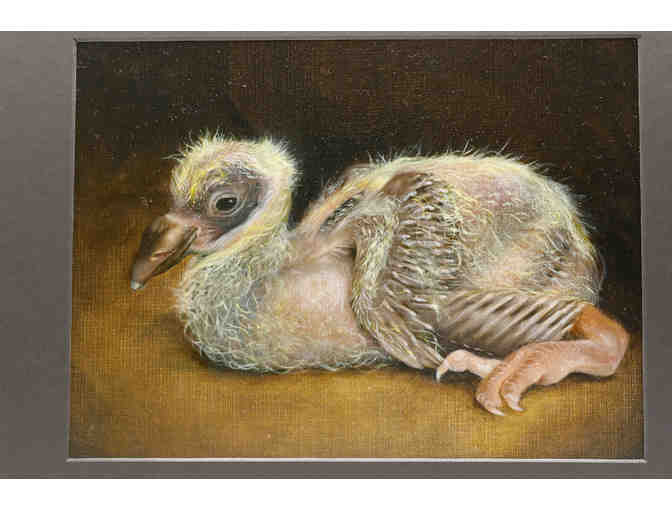 Graceful Squab Oil Painting by Elizabeth Yeung