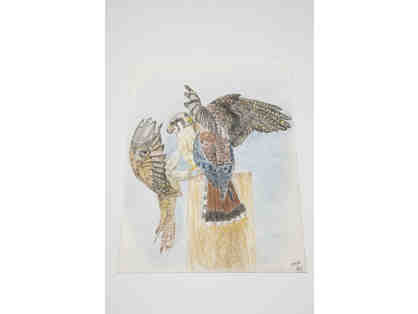 Kestrels fighting at a perch - drawing by Lu Scott